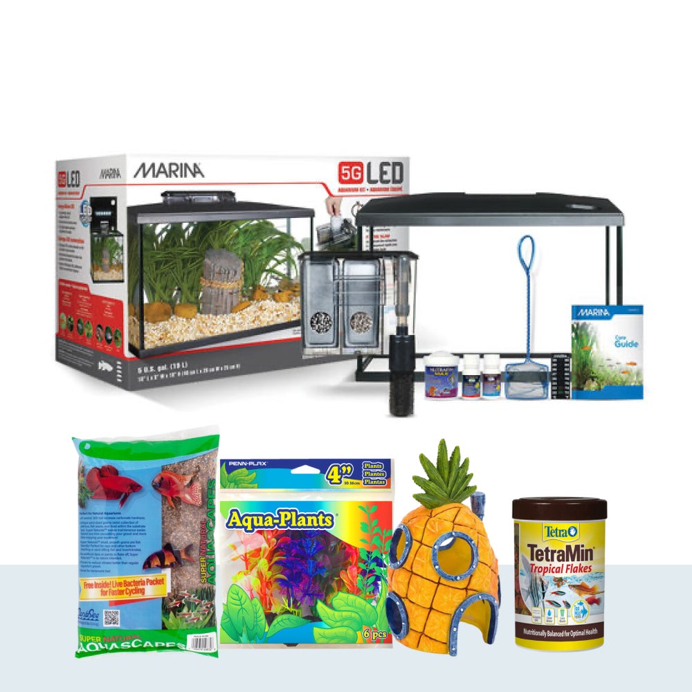 Guppies Supplies Set